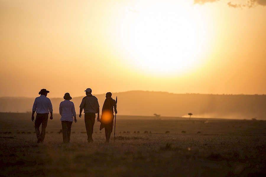 LUXE REIZEN  - TRAVEL IN LUXURY - LUXURY IS TRAVELLING  AFRIKA_LUXE SAFARIS KENIA**ELEPHANT PEPPER, ELEWANA COLLECTION, MASAI MARA