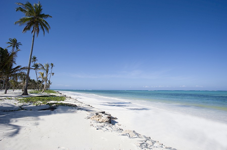 LUXE REIZEN  - TRAVEL IN LUXURY - LUXURY IS TRAVELLING  ZANZIBAR_LUXE REIZEN ZANZIBAR - TANZANIA**BARAZA RESORT & SPA - ZANZIBAR