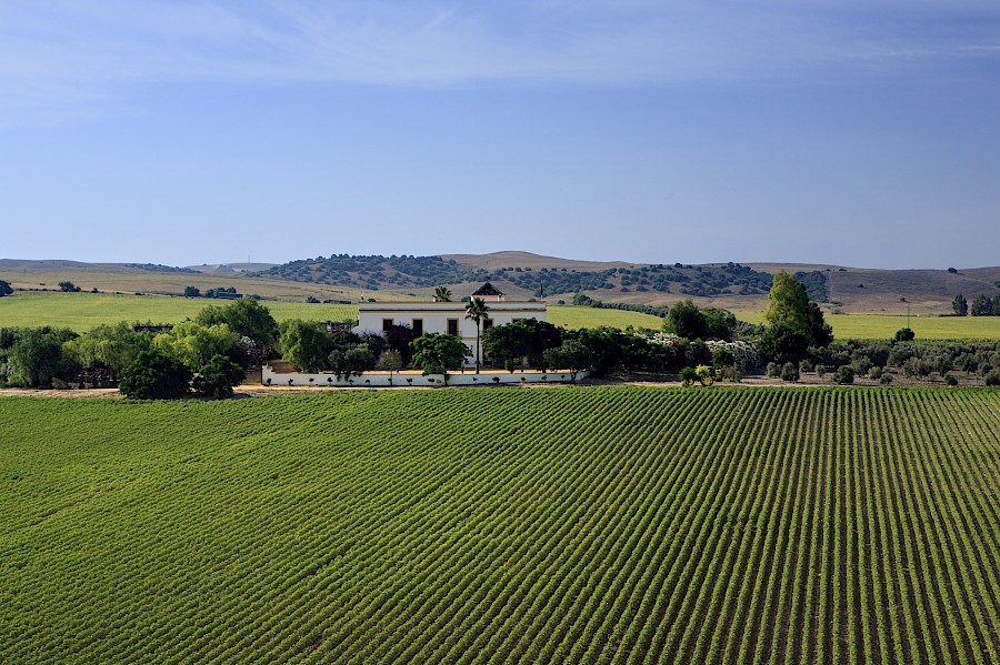 LUXE REIZEN  - TRAVEL IN LUXURY - LUXURY IS TRAVELLING  SPANJE_HACIENDA DE SAN RAFAEL **ANDALUSIE - SPANJE
