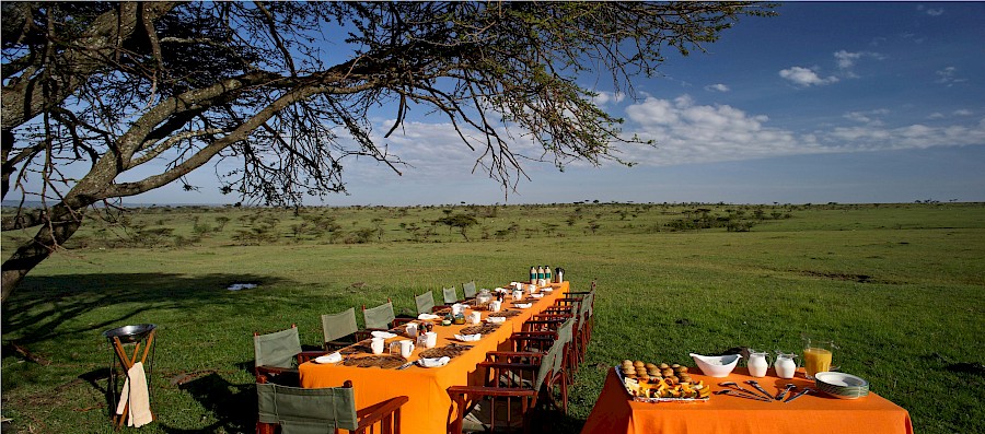 LUXE REIZEN  - TRAVEL IN LUXURY - LUXURY IS TRAVELLING  KENIA_LUXE SAFARIS KENIA**ELEPHANT PEPPER, ELEWANA COLLECTION, MASAI MARA