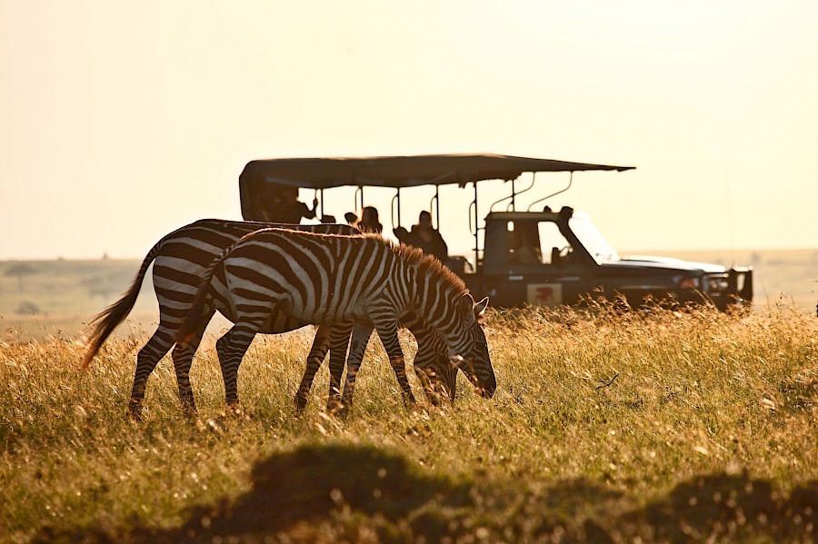 LUXE REIZEN  - TRAVEL IN LUXURY - LUXURY IS TRAVELLING  KENIA_LUXE SAFARIS KENIA**ELEPHANT PEPPER, ELEWANA COLLECTION, MASAI MARA