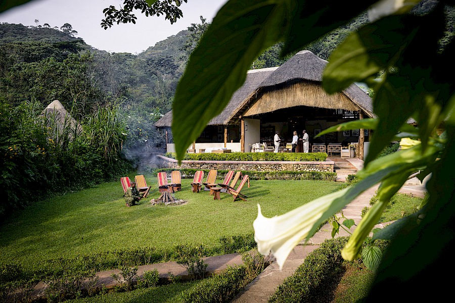 LUXE REIZEN  - TRAVEL IN LUXURY - LUXURY IS TRAVELLING  OEGANDA_LUXE SAFARIS OEGANDA**SANCTUARY GORILLA FOREST CAMP