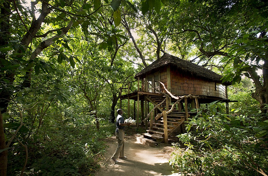 LUXE REIZEN  - TRAVEL IN LUXURY - LUXURY IS TRAVELLING  TANZANIA_LUXE SAFARI TANZANIA**LAKE MANYARA TREE LODGE