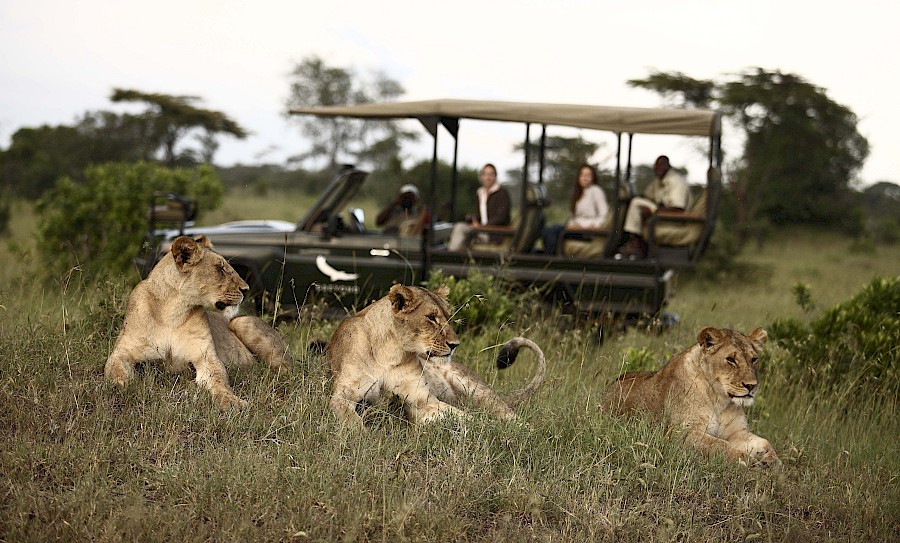LUXE REIZEN  - TRAVEL IN LUXURY - LUXURY IS TRAVELLING  TANZANIA_LUXE SAFARI TANZANIA**KLEINS CAMP SERENGETI
