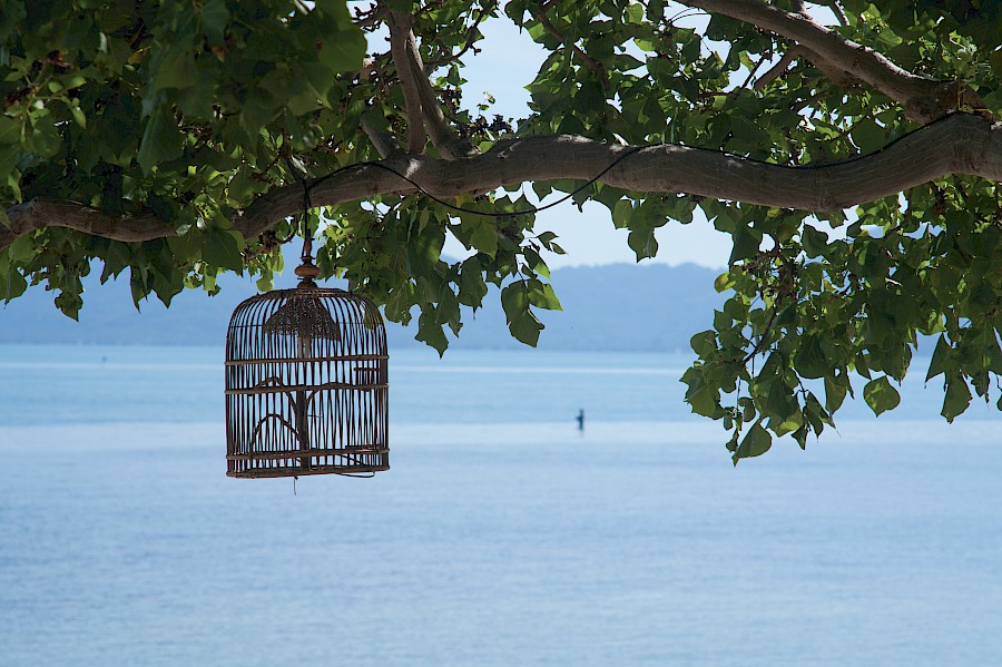 LUXE REIZEN  - TRAVEL IN LUXURY - LUXURY IS TRAVELLING  THAILAND_LUXE REIZEN THAILAND, KOH SAMUI**BELMOND NAPASAI