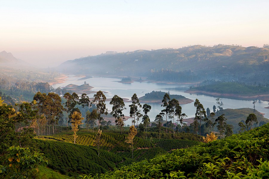 LUXE REIZEN  - TRAVEL IN LUXURY - LUXURY IS TRAVELLING  SRI LANKA_LUXE RONDREIZEN SRI LANKA**TEA TRAILS & BEACH JOURNEY