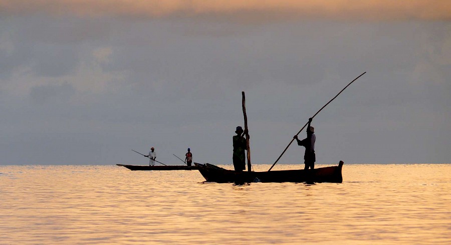 LUXE REIZEN  - TRAVEL IN LUXURY - LUXURY IS TRAVELLING  INDISCHE OCEAAN_Luxe reizen Pemba, Tanzania, Indische Oceean