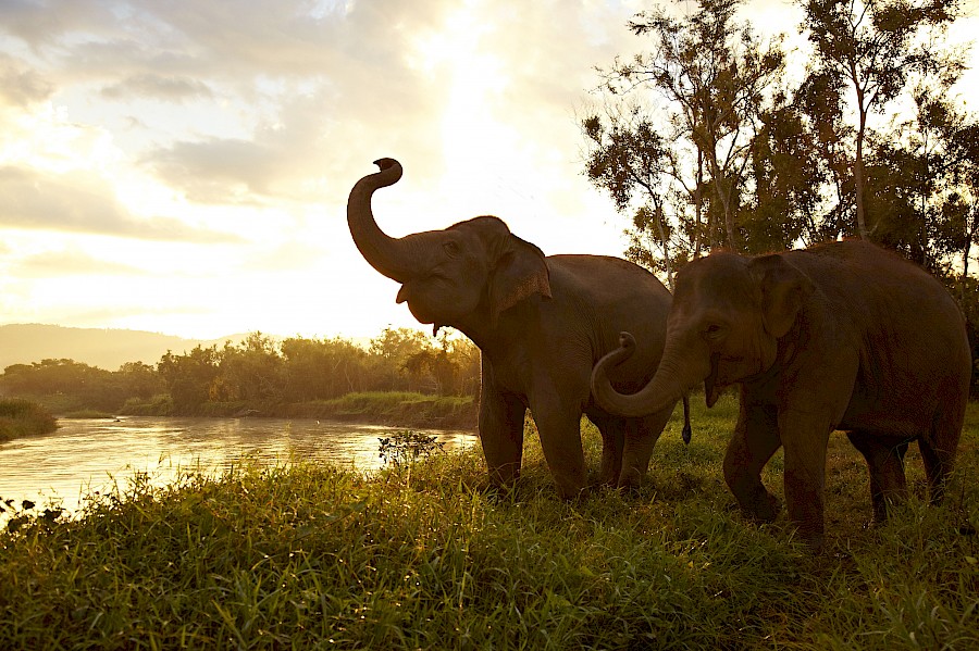 LUXE REIZEN  - TRAVEL IN LUXURY - LUXURY IS TRAVELLING  THAILAND_LUXE RONDREIS THAILAND**CHIANG RAI