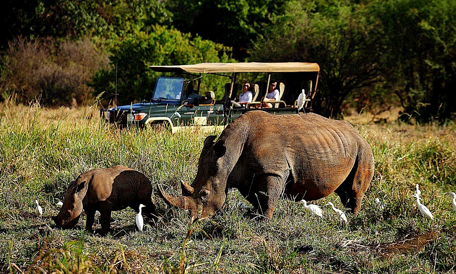 LUXE REIZEN  - TRAVEL IN LUXURY - LUXURY IS TRAVELLING  KENIA_LUXE SAFARI KENIA**RONDREIS KENIA - BUSH & BEACH