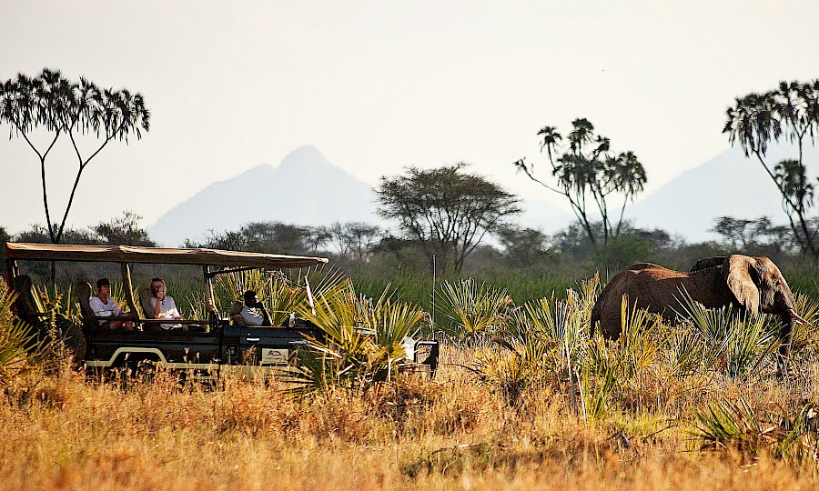 LUXE REIZEN  - TRAVEL IN LUXURY - LUXURY IS TRAVELLING  KENIA_LUXE SAFARI KENIA**RONDREIS KENIA - BUSH & BEACH