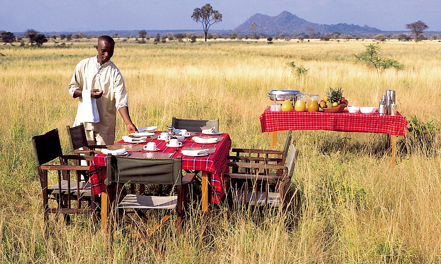 LUXE REIZEN  - TRAVEL IN LUXURY - LUXURY IS TRAVELLING  KENIA_LUXE SAFARIS KENIA**ELSA’S KOPJE - MERU NATIONAL PARK