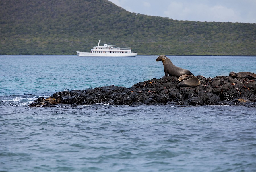 LUXE REIZEN  - TRAVEL IN LUXURY - LUXURY IS TRAVELLING  ZUID-AMERIKA_LUXE REIZEN**ECUADOR-GALAPAGOS