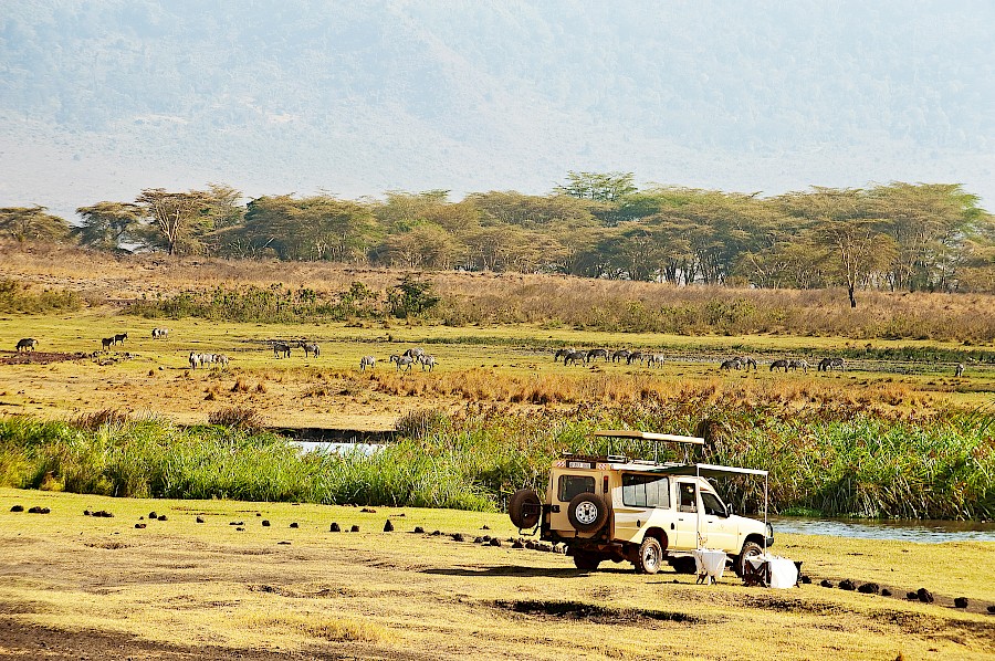 LUXE REIZEN  - TRAVEL IN LUXURY - LUXURY IS TRAVELLING  TANZANIA_LUXE SAFARI TANZANIA - THE ELEWANA COLLECTION**THE MANOR NGORONGORO