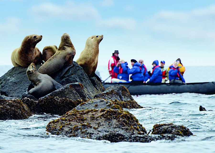 LUXE REIZEN  - TRAVEL IN LUXURY - LUXURY IS TRAVELLING  ANTARCTICA_LUXE CRUISES**ANTARCTICA