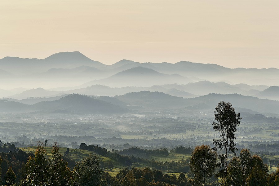 LUXE REIZEN  - TRAVEL IN LUXURY - LUXURY IS TRAVELLING  AFRIKA_LUXE REIZEN RWANDA**LUXE SAFARIS RWANDA, ONE&ONLY GORILLA'S NEST