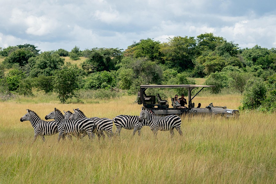 LUXE REIZEN  - TRAVEL IN LUXURY - LUXURY IS TRAVELLING  RWANDA_LUXE SAFARI RWANDA**MAGASHI CAMP - AKAGERA NATIONAL PARK