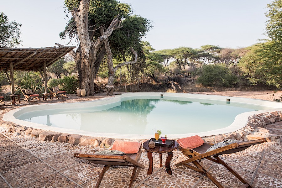LUXE REIZEN  - TRAVEL IN LUXURY - LUXURY IS TRAVELLING  TANZANIA_LUXE SAFARI HET ONGEREPTE ZUIDEN VAN TANZANIA & ZANZIBAR  