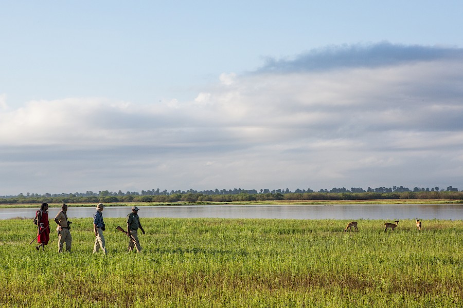 LUXE REIZEN  - TRAVEL IN LUXURY - LUXURY IS TRAVELLING  TANZANIA_LUXE SAFARI HET ONGEREPTE ZUIDEN VAN TANZANIA & ZANZIBAR  