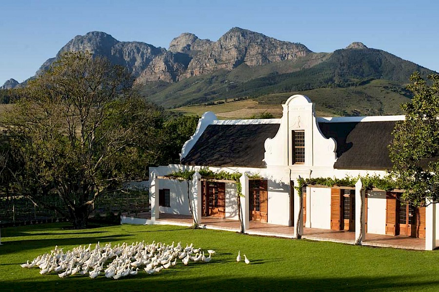 LUXE REIZEN  - TRAVEL IN LUXURY - LUXURY IS TRAVELLING  ZUID-AFRIKA_LUXE REIZEN ZUID-AFRIKA**BABYLONSTOREN - KAAPSE WIJNLANDEN