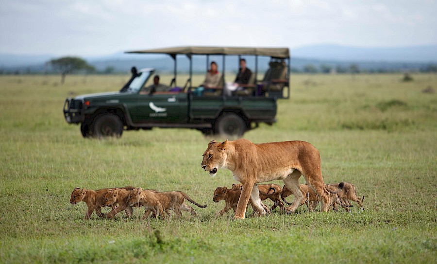 LUXE REIZEN - TRAVEL IN LUXURY - LUXURY IS TRAVELLING TANZANIA_LUXE SAFARI TANZANIA**SERENGETI